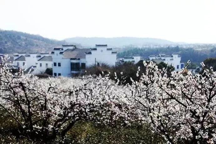 红色鹦鹉逃脱